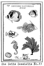 Fish Stamp small