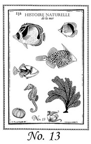 She Sells Sea Shells Stamp Set 13